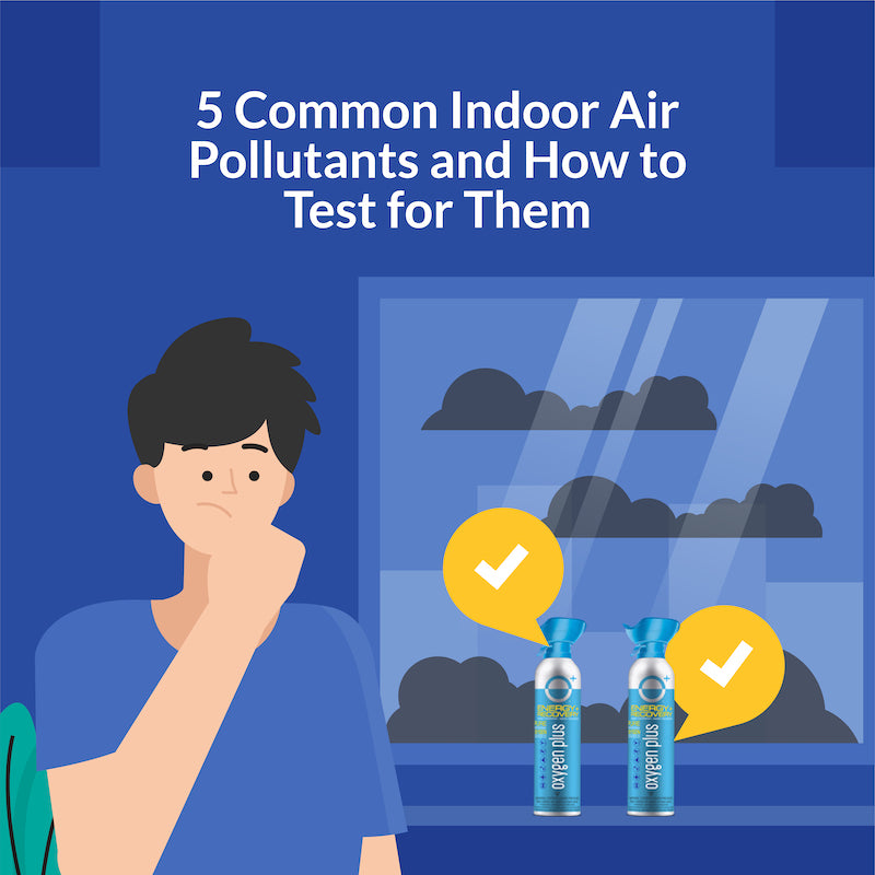 5 common indoor air pollutants and how to test for them