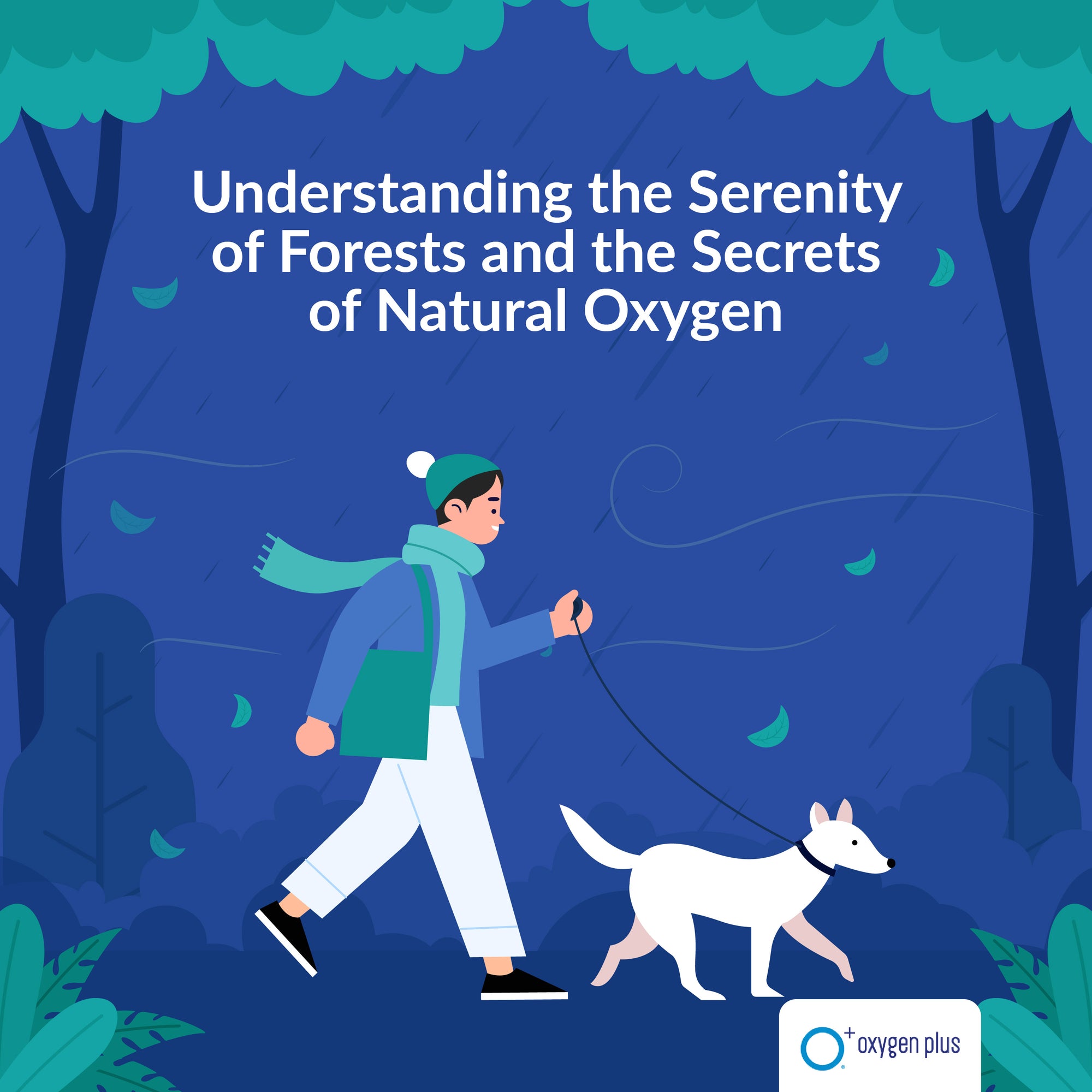 Understanding the serenity of forests and the secrets of natural oxygen