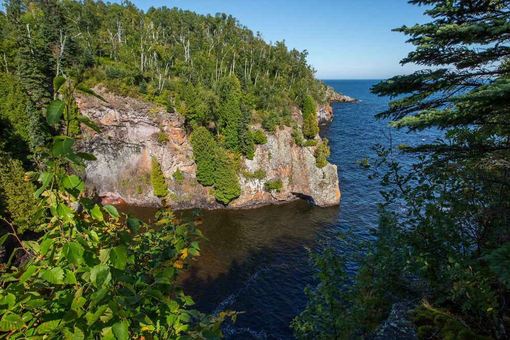 O+ Helps The Nature Conservancy in Minnesota