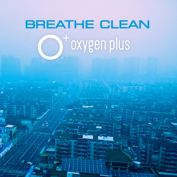 O+ Office Plants, Meet Air Pollution!