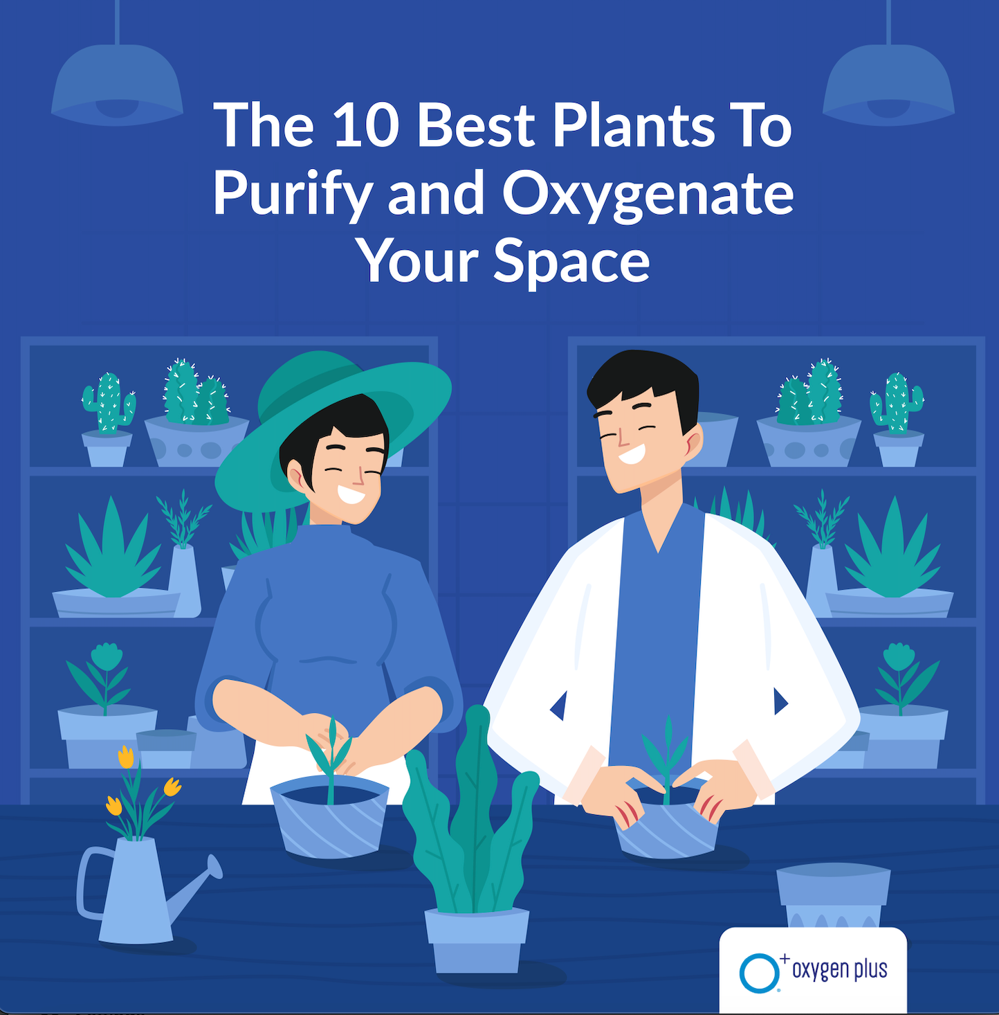 The 10 best plant to purify and oxygenate your space