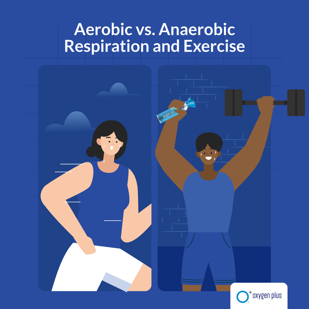 Aerobic vs. Anaerobic Respiration and Exercise - Oxygen Plus