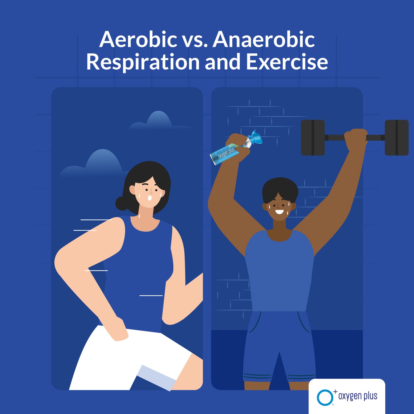 aerobic vs anaerobic exercise 