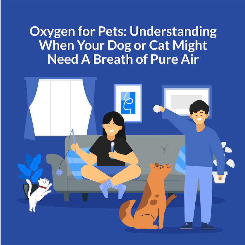 Oxygen for Pets: Understanding When Your Dog or Cat Might Need a Breath of Pure Air