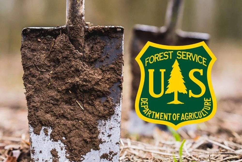 Oxygen Plus Plants 1,000 Trees in United States National Forests